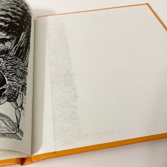 Vtg 1981 The Birch Bark Caper Book by Stanley Burke Roy Peterson - Picture 16 of 16